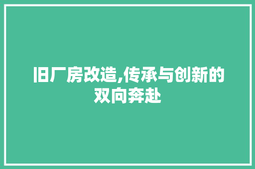 旧厂房改造,传承与创新的双向奔赴