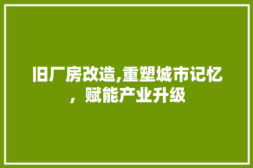 旧厂房改造,重塑城市记忆，赋能产业升级