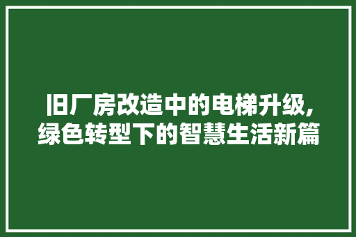 旧厂房改造中的电梯升级,绿色转型下的智慧生活新篇章