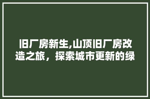 旧厂房新生,山顶旧厂房改造之旅，探索城市更新的绿色典范