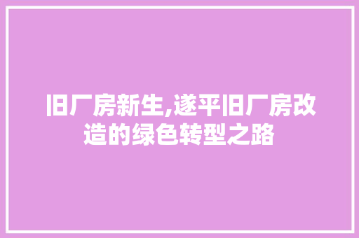 旧厂房新生,遂平旧厂房改造的绿色转型之路
