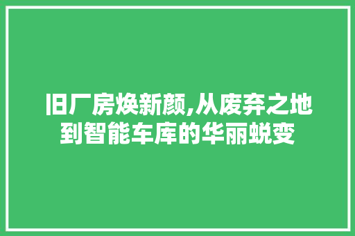 旧厂房焕新颜,从废弃之地到智能车库的华丽蜕变