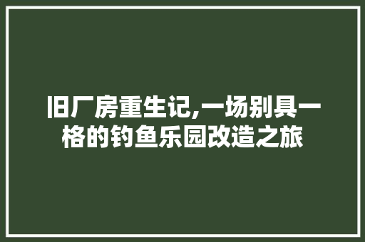 旧厂房重生记,一场别具一格的钓鱼乐园改造之旅