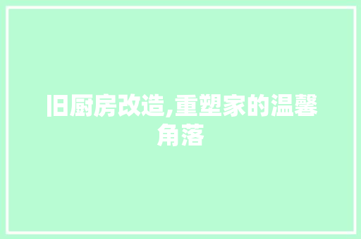 旧厨房改造,重塑家的温馨角落