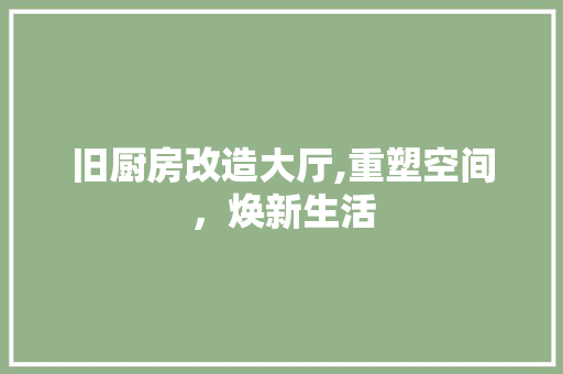 旧厨房改造大厅,重塑空间，焕新生活