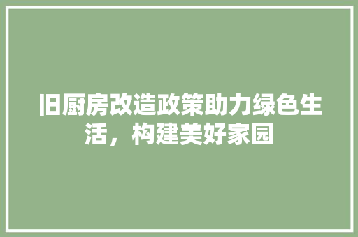 旧厨房改造政策助力绿色生活，构建美好家园