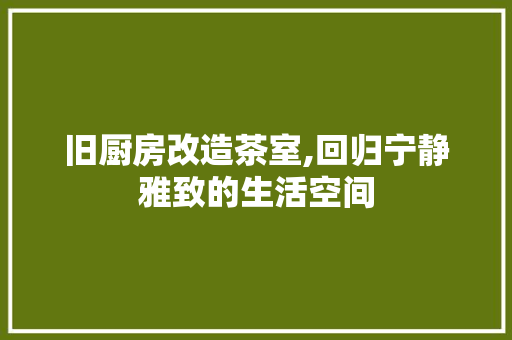 旧厨房改造茶室,回归宁静雅致的生活空间
