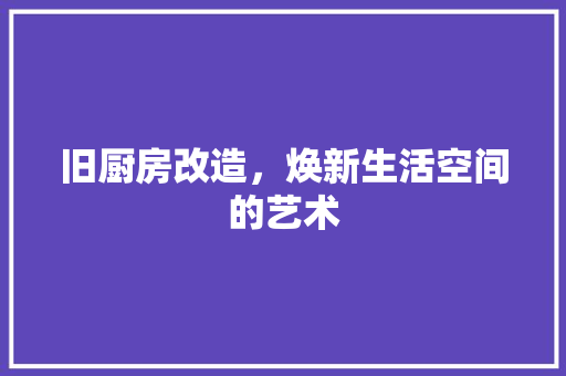 旧厨房改造，焕新生活空间的艺术