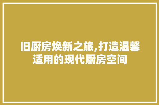 旧厨房焕新之旅,打造温馨适用的现代厨房空间