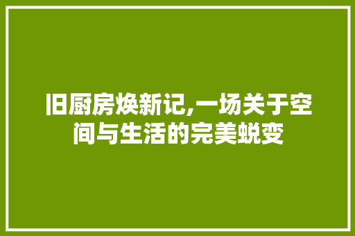 旧厨房焕新记,一场关于空间与生活的完美蜕变