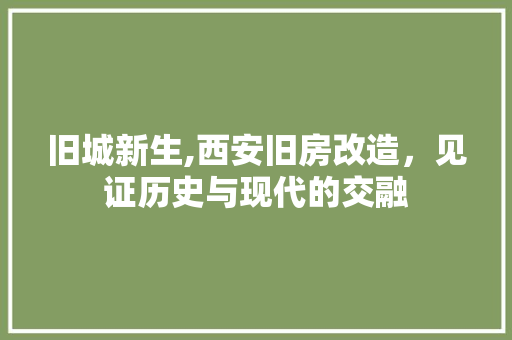 旧城新生,西安旧房改造，见证历史与现代的交融