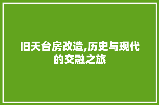 旧天台房改造,历史与现代的交融之旅