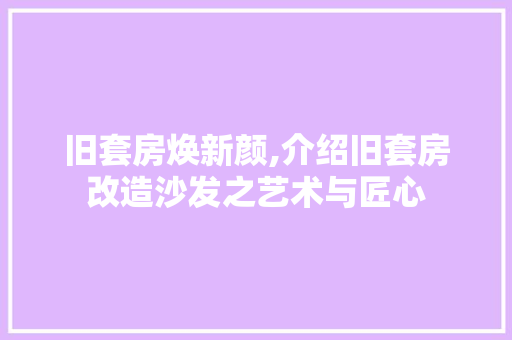 旧套房焕新颜,介绍旧套房改造沙发之艺术与匠心