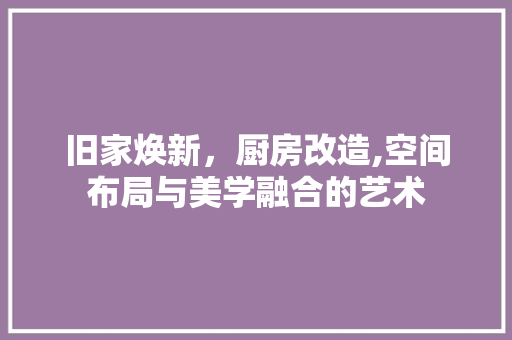 旧家焕新，厨房改造,空间布局与美学融合的艺术