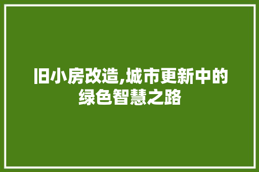旧小房改造,城市更新中的绿色智慧之路