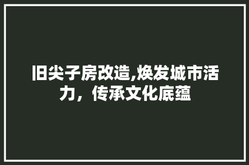 旧尖子房改造,焕发城市活力，传承文化底蕴