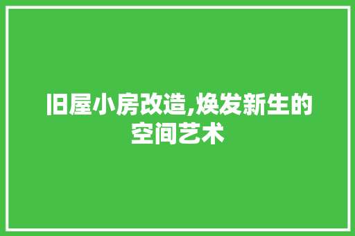 旧屋小房改造,焕发新生的空间艺术