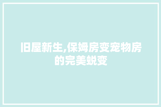 旧屋新生,保姆房变宠物房的完美蜕变