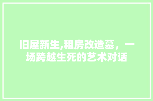 旧屋新生,租房改造墓，一场跨越生死的艺术对话