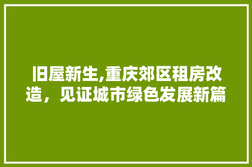 旧屋新生,重庆郊区租房改造，见证城市绿色发展新篇章