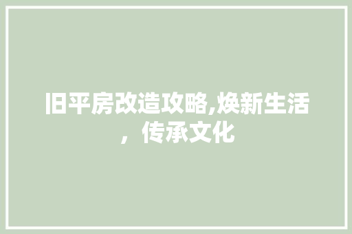 旧平房改造攻略,焕新生活，传承文化