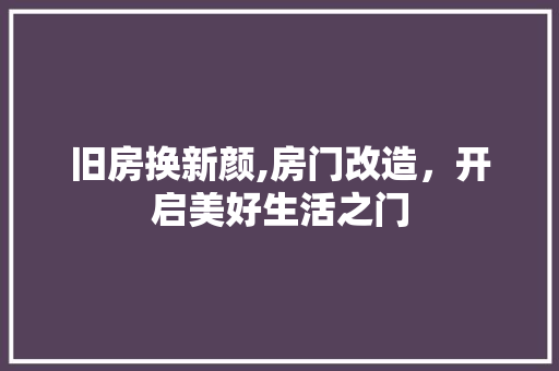 旧房换新颜,房门改造，开启美好生活之门 厨房维修