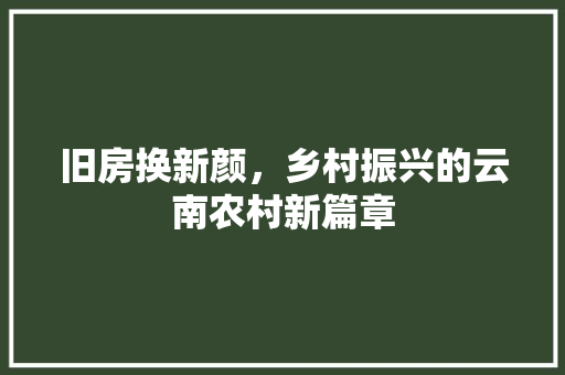 旧房换新颜，乡村振兴的云南农村新篇章