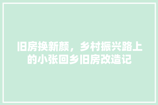 旧房换新颜，乡村振兴路上的小张回乡旧房改造记