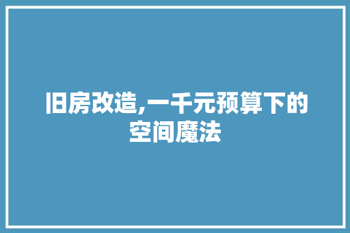旧房改造,一千元预算下的空间魔法