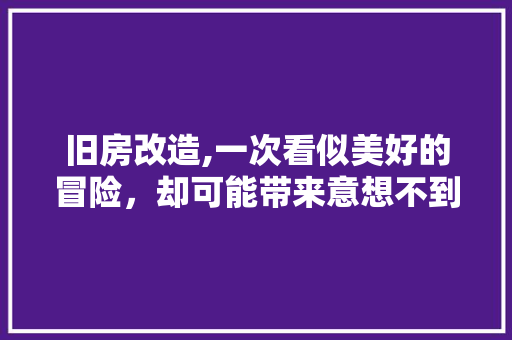 旧房改造,一次看似美好的冒险，却可能带来意想不到的麻烦