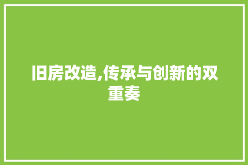 旧房改造,传承与创新的双重奏