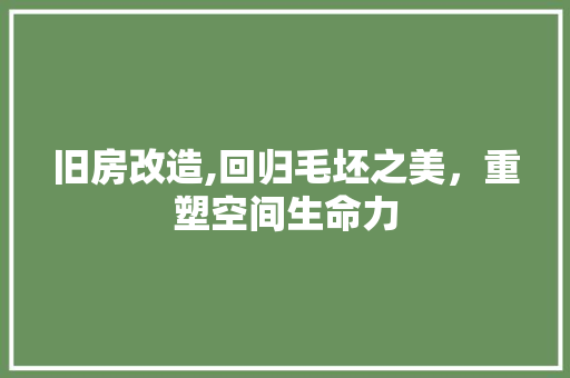 旧房改造,回归毛坯之美，重塑空间生命力