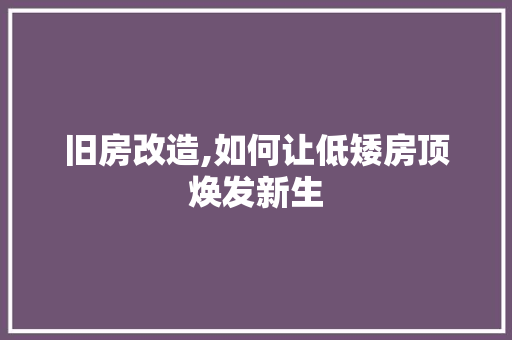 旧房改造,如何让低矮房顶焕发新生