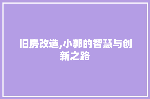 旧房改造,小郭的智慧与创新之路