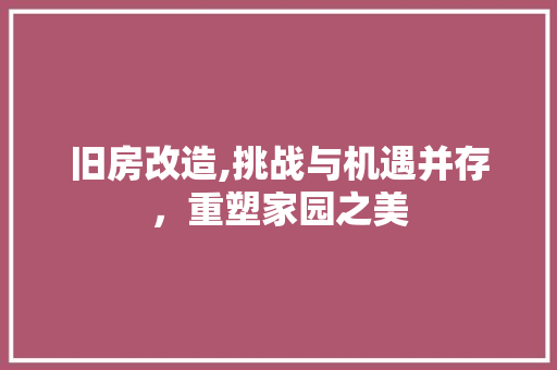 旧房改造,挑战与机遇并存，重塑家园之美