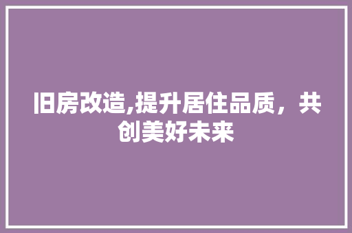 旧房改造,提升居住品质，共创美好未来