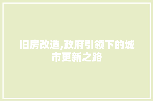 旧房改造,政府引领下的城市更新之路