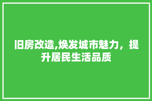 旧房改造,焕发城市魅力，提升居民生活品质