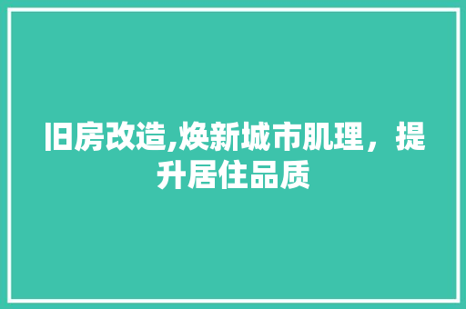 旧房改造,焕新城市肌理，提升居住品质