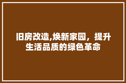 旧房改造,焕新家园，提升生活品质的绿色革命