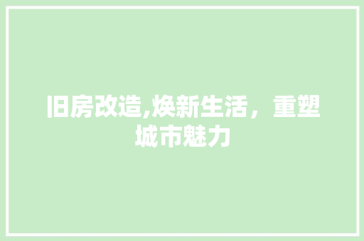 旧房改造,焕新生活，重塑城市魅力
