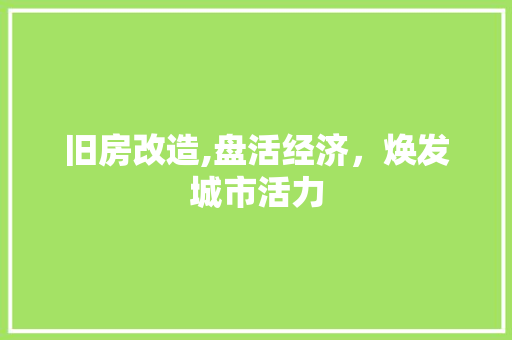 旧房改造,盘活经济，焕发城市活力
