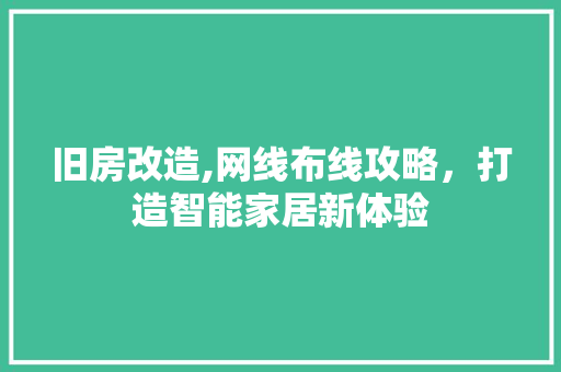 旧房改造,网线布线攻略，打造智能家居新体验
