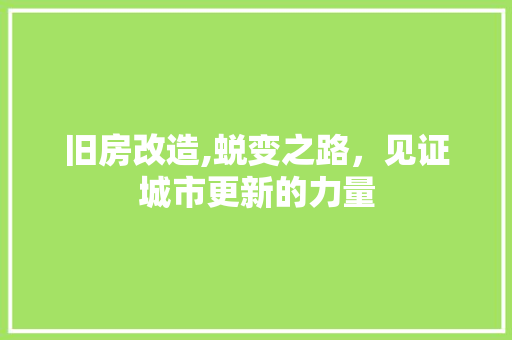 旧房改造,蜕变之路，见证城市更新的力量