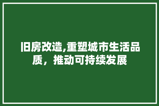 旧房改造,重塑城市生活品质，推动可持续发展