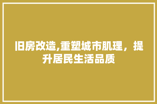 旧房改造,重塑城市肌理，提升居民生活品质
