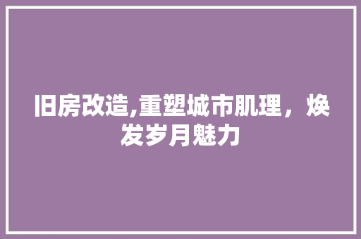 旧房改造,重塑城市肌理，焕发岁月魅力
