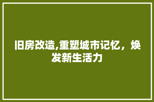 旧房改造,重塑城市记忆，焕发新生活力
