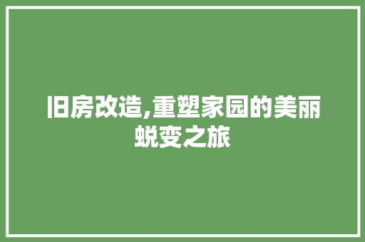 旧房改造,重塑家园的美丽蜕变之旅