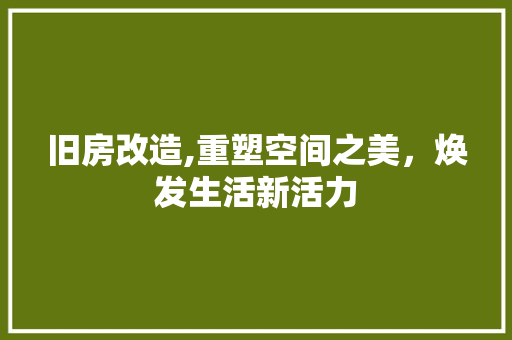 旧房改造,重塑空间之美，焕发生活新活力